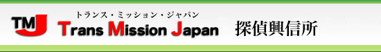 gX~bVWpLT㋻M-TMJ-